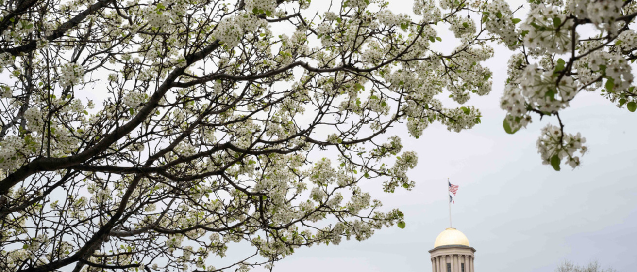 spring blossoms on tree with Old Capitol dome in background
